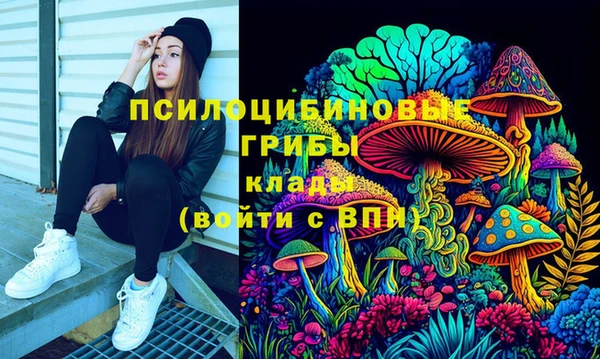 мяу мяу мука Абинск