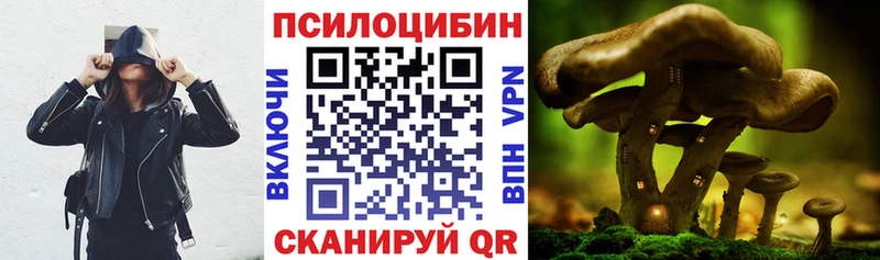 цены Ачхой-Мартан Галлюциногенные грибы GOLDEN TEACHER